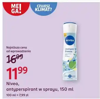 Rossmann Antyperspirant oferta