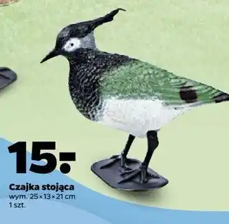 Netto Czajka stojąca oferta