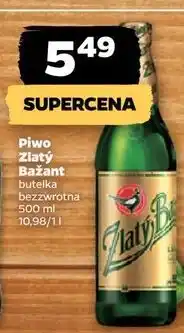 Netto Piwo Złoty Bażant oferta