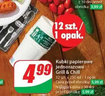 Dino Kubki 250 ml Grill & Chill oferta