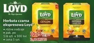 Makro Herbata czarna ekspresowa Loyd różne rodzaje 100 torebek oferta