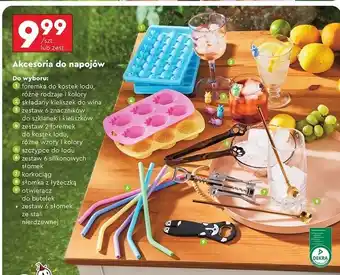Biedronka Otwieracz do butelek oferta