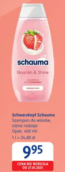 dm drogerie markt Schwarzkopf Schauma Szampon do włosów oferta