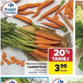 Carrefour Marchew młoda Carrefour oferta