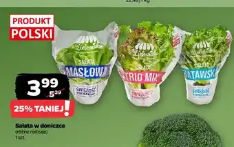 Netto Sałata batawska Z Zieleniaka Netto oferta