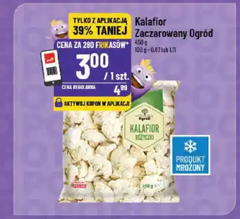 Polomarket Kalafior Zaczarowany Ogród oferta