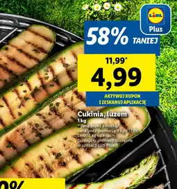 Lidl Cukinia oferta