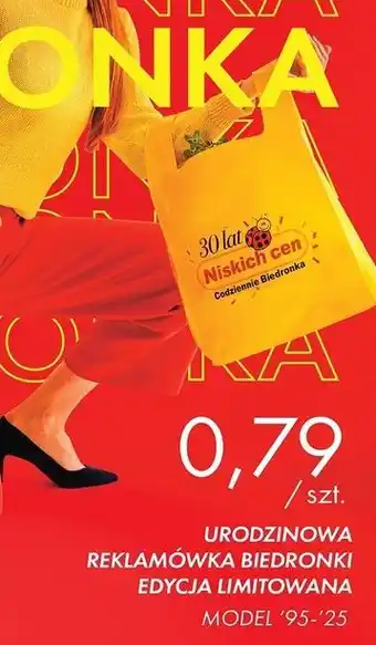 Biedronka Reklamówka Biedronka oferta