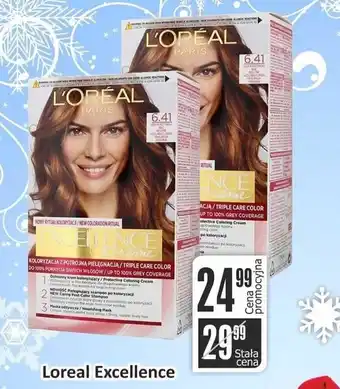 Wispol Loreal Excellence oferta