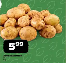 Netto Ziemniak wczesny oferta