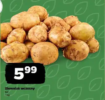 Netto Ziemniak wczesny oferta