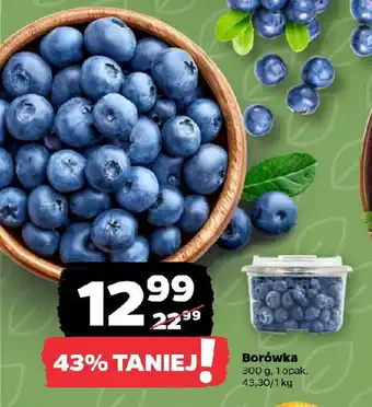 Netto Borówka oferta