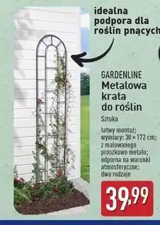 ALDI Metalowa krata do roślin 30 x 172 cm Gardenline oferta