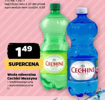 Netto Woda mineralna Cechini Muszyna oferta
