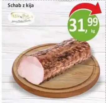 Passa Schab z kija oferta