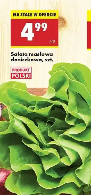 Biedronka sałata masłowa doniczkowa szt oferta
