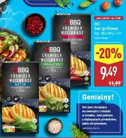 ALDI BBQ Ser grillowy oferta