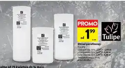 Intermarche Wkład do znicza parafinowy 230 g 60h Tulipe oferta