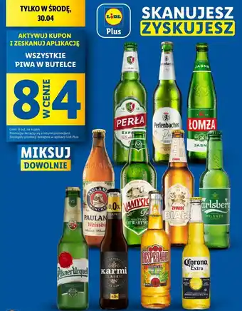Lidl Piwo w butelce oferta