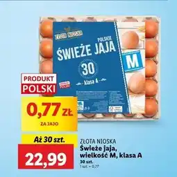 Lidl Jaja Złota nioska oferta