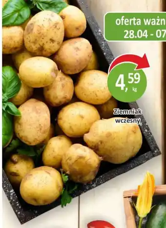 Passa Ziemniak wczesny oferta