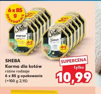 Kaufland Karma dla kotów Sheba oferta