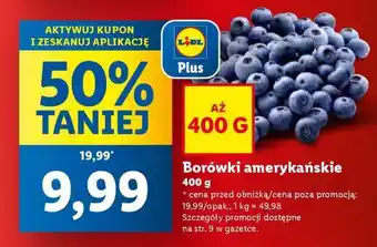 Lidl Borówki amerykańskie oferta