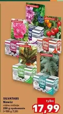 Kaufland Nawóz w tabletkach do roślin balkonowych Silva Tabs oferta