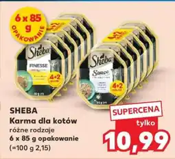 Kaufland SHEBA Karma dla kotów oferta
