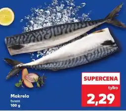 Kaufland Makrela tusza 100 g oferta