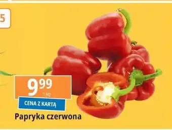 E.Leclerc Papryka czerwona oferta