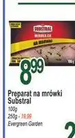E.Leclerc Preparat na mrówki Substral oferta