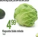 E.Leclerc Kapusta biała młoda oferta