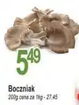 E.Leclerc Boczniaki oferta
