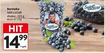 Intermarche Borówki Sanlucar oferta