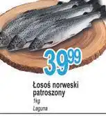 E.Leclerc Łosoś patroszony Laguna oferta