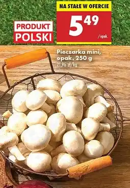 Biedronka Pieczarki mini oferta
