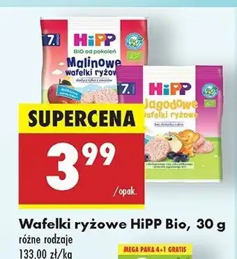 Biedronka Jagodowe wafelki ryżowe Hipp oferta