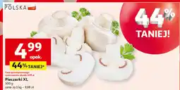 Auchan Pieczarki xl oferta
