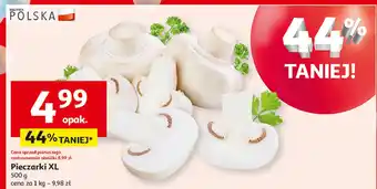 Auchan Pieczarki xl oferta