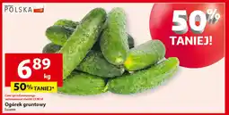 Auchan Ogórki gruntowe oferta