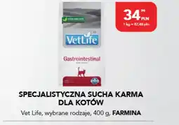 AquaelZOO Karma dla kota Farmina oferta