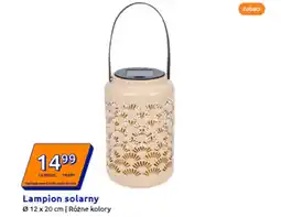 Action Lampion oferta