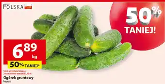 Auchan Ogórek gruntowy oferta