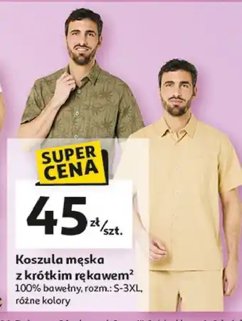 Auchan Koszula męska krótki rękaw s-3xl oferta