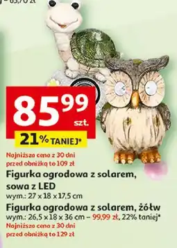 Auchan Figurka ogrodowa z solarem sowa oferta