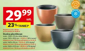 Auchan Donica plastikowa 56.9 x 43.5 cm oferta