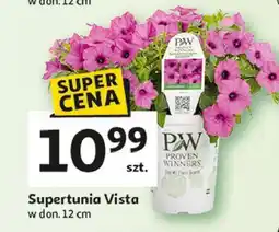 Auchan Supertunia vista 12 cm oferta