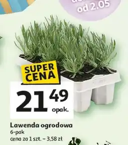 Auchan Lawenda oferta