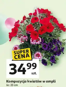 Auchan Kwiat w ampli 23 cm oferta